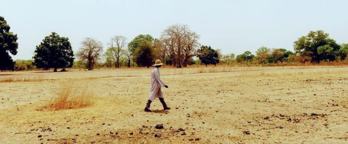 Terres d'élevage pastoral au Sahel © S. Taugourdeau, Cirad
